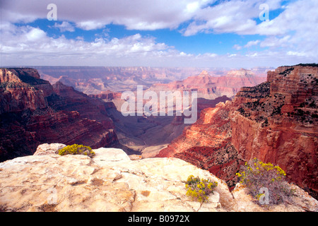 Cape Royal, North Rim du Grand Canyon, le Parc National du Grand Canyon, Arizona, USA, Amérique du Nord Banque D'Images