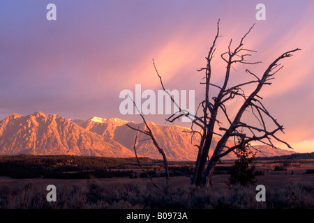 Chaîne Teton, Grand Teton National Park, Wyoming, USA, Amérique du Nord Banque D'Images