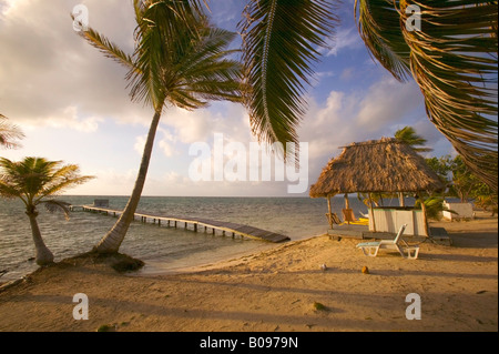 Sur le bord de mer de Blackbird Caye Turneffe Islands Belize Le Belize barrier reef le deuxième plus grand au monde Banque D'Images