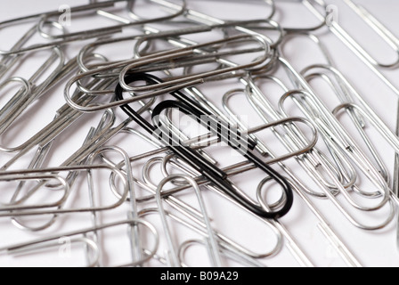 Stock photo de tas de trombones d'argent sur fond blanc avec un trombone noir se démarquer de la pile Banque D'Images