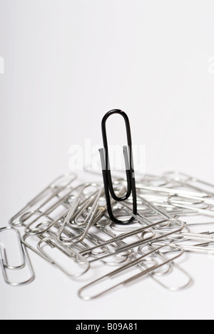 Stock photo de tas de trombones d'argent sur fond blanc avec un trombone noir se démarquer de la pile Banque D'Images