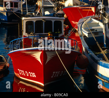 Des bateaux de pêche, Los Cristianos, Tenerife, Canaries, Espagne Banque D'Images