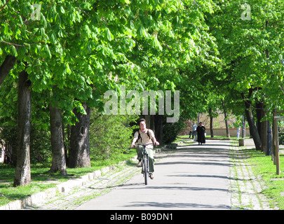 BUDAPEST, HONGRIE. Un jeune homme à vélo le long de Toth Arpad Setany dans le district de Varhegy Buda. Banque D'Images