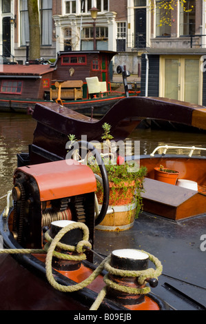 Amsterdam, péniches sur le canal Brouwersgracht, tulipe rouge Banque D'Images