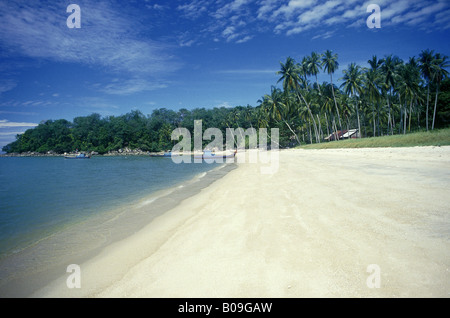 Gertak Sanggul Beach Hut Bateaux d'eau peu profonde de sable palmiers DE LA CÔTE OUEST DE LA MALAISIE PENANG Banque D'Images