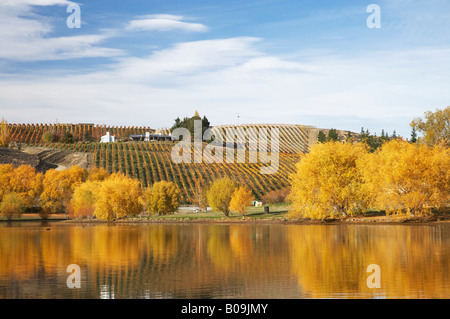 La couleur en automne et vignoble Bannockburn Inlet Lake Dunstan Central Otago ile sud Nouvelle Zelande Banque D'Images