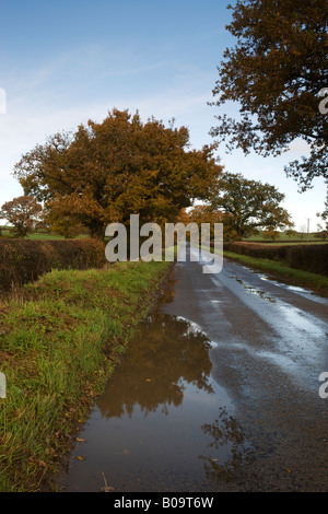 Scène d'automne humide sur une route de campagne, près de Granby, Northamptonshire, England, UK Banque D'Images