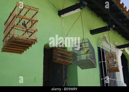 Oiseaux en cage en face de maison coloniale, Cuba, Trinidad, Sancti Spiritus Banque D'Images