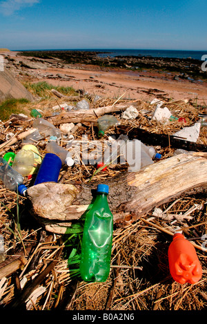 Litière / déchets éparpillés sur une plage. Banque D'Images