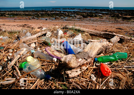 Litière / déchets éparpillés sur une plage. Banque D'Images