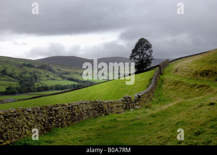 Dark paysage spectaculaire à Muker avec seul arbre et fuyante muret de pierres sèches, Yorkshire Dales National Park dans le Nord de l'Angleterre UK Banque D'Images