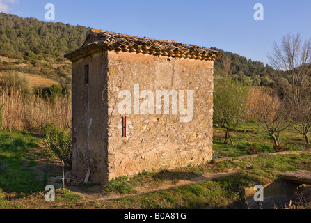 Printemps coucher de soleil sur une grange dans un vignoble français Banque D'Images