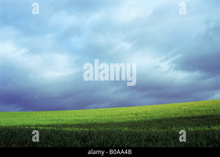 Paysage avec colline herbeuse et nuages Banque D'Images