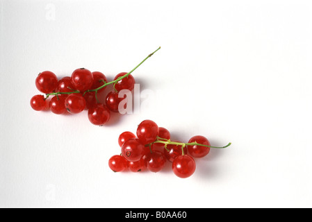 Groseilles rouges, close-up Banque D'Images