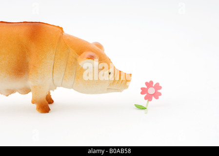 Cochon en plastique fleurs odorantes Banque D'Images