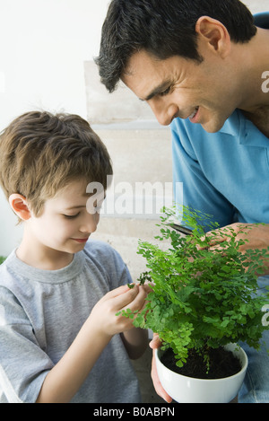 Père et fils à la plante en pot à l'ensemble, les deux smiling Banque D'Images