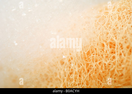 De l'eau savonneuse sur la mousse, extreme close-up Banque D'Images