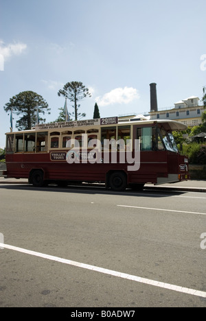 Les Montagnes Bleues Trolley tour offre un bus hop on hop off service aux visiteurs dans les Montagnes Bleues Banque D'Images