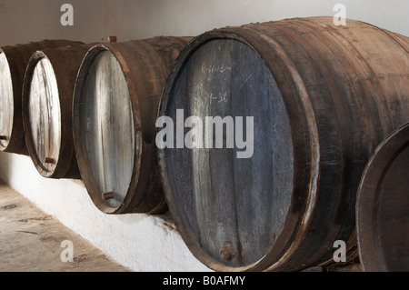 Des tonneaux de vin en el Museo del Vino (musée du vin), La Geria, Lanzarote, îles canaries Banque D'Images