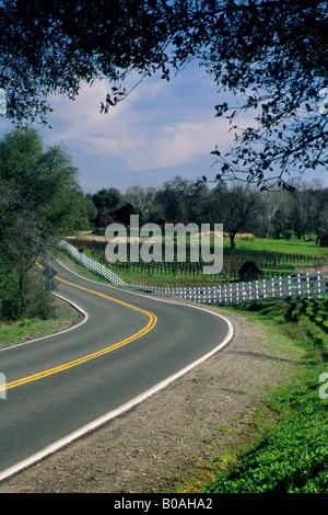 Route de campagne à travers la vallée de Shenandoah près de Plymouth Amador County en Californie Banque D'Images
