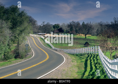 Route de campagne à travers la vallée de Shenandoah près de Plymouth Amador County en Californie Banque D'Images
