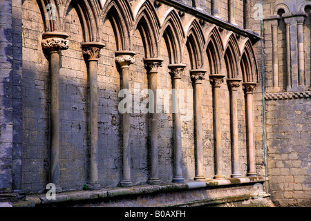 Cathédrale d'Ely Ely élévation sud détails Arch Ville Cambridgeshire Angleterre Grande-bretagne UK Banque D'Images