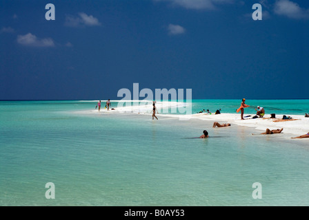 Sandspit lagon bleu ciel bleu, plage de sable blanc de l'île de Kuramathi Maldives tropicales Banque D'Images