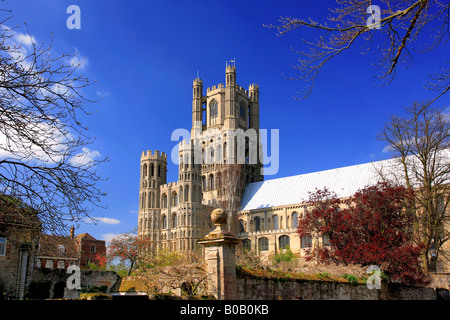 Cathédrale d'Ely Ely élévation sud ville Cambridgeshire Angleterre Grande-bretagne UK diocèse d'Ely Banque D'Images