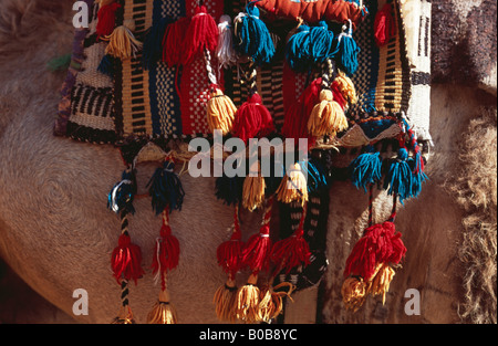 Glands sur une selle de chameau, le monastère Sainte-Catherine, Sinaï, Egypte Banque D'Images