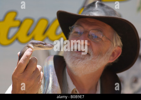 Manutention touristique Python Olive Banque D'Images