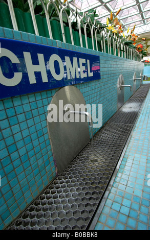 Des robinets d'eau dans la Halle des sources à Vichy thermal Spa, Auvergne, France, Europe Banque D'Images