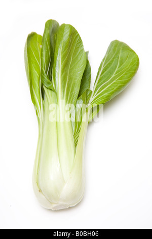 Le Bok Choi ou pak-choï, le chou chinois isolé sur un fond blanc studio. Banque D'Images