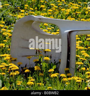 Chaise de jardin avec dandilions Banque D'Images