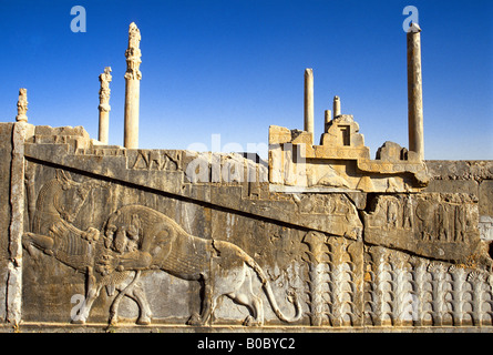 Ruines du palais Apadana construit par Darius le Grand dans la ville de Perse Persepolis Banque D'Images