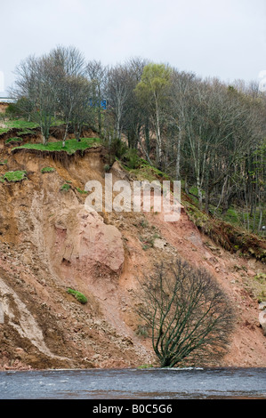 Grand glissement de terrain en avril 2008 sur l'est de la rivière Spey à Ordiquish près de Fochabers dans Moray, Ecosse, Royaume-Uni Banque D'Images