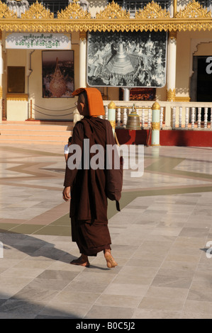 Myanmar Birmanie Yangon Shwedagon de Rangoon nonnes bouddhistes Banque D'Images