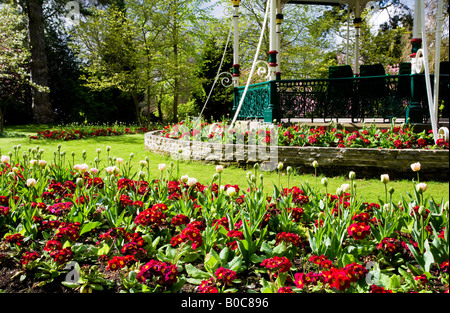 Fleurs de Printemps des tulipes et des primevères rouge en face de l'époque victorienne au kiosque la ville des jardins, Swindon, Wiltshire, Royaume-Uni Banque D'Images