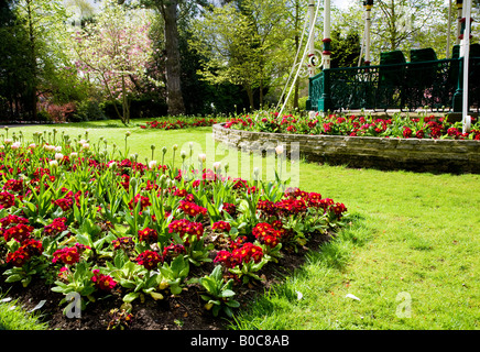 Fleurs de Printemps des tulipes et des primevères rouge en face de l'époque victorienne au kiosque la ville des jardins, Swindon, Wiltshire, Royaume-Uni Banque D'Images