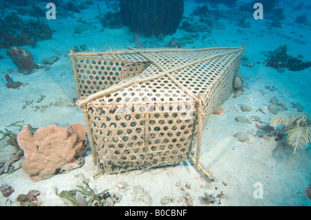 Un piège à poisson abandonnés jette sur le bas et devient un danger pour la vie des poissons. Banque D'Images