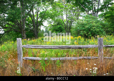 Vieille CLÔTURE EN BOIS ET UNE PRAIRIE À LA FIN DE L'ÉTÉ SUR L'ÎLE DE WASHINGTON COMTÉ DE PORTE NORD-EST DU WISCONSIN USA Banque D'Images