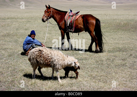 Garçon de Mongolie, de chevaux et de moutons Banque D'Images