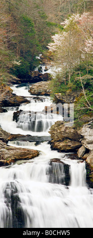 Cullasaja tombe au printemps, l'eau Peaceful Mounain Scenic Byway US 64 et NC 28, Caroline du Nord. Banque D'Images