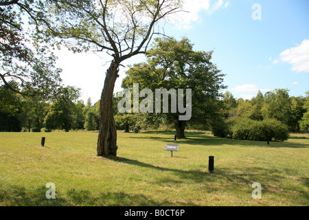 Le site de la maison, Thomas Chandler Chandler Coleman, plantation Stonewell Jackson de culte, Hopewell en Virginie. Banque D'Images