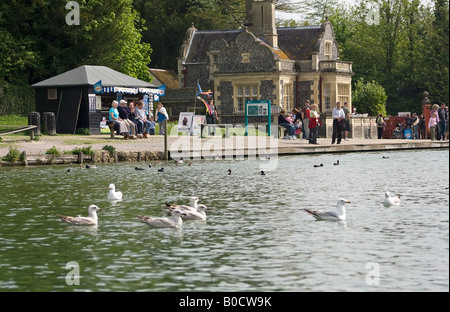 Les gens qui apprécient les thèmes du lac Swanbourne, Arundel, West Sussex, Angleterre Banque D'Images