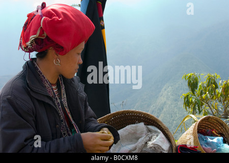 Zao rouges im Sapa Banque D'Images