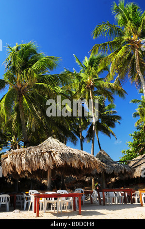 Restaurant en plein air sur la plage tropicale avec palmiers Banque D'Images