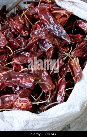 Sac de piments séchés Chiapas de Conteno région. En vente en magasin de chili à Puebla, au Mexique. Banque D'Images