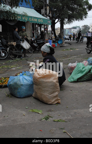 Camelots qui vendent des marchandises dans les rues de Hanoi Banque D'Images