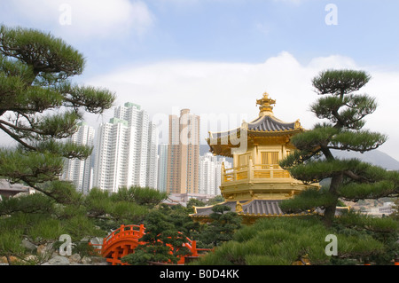 Nan Lian Garden, Kowloon, Chine. Banque D'Images