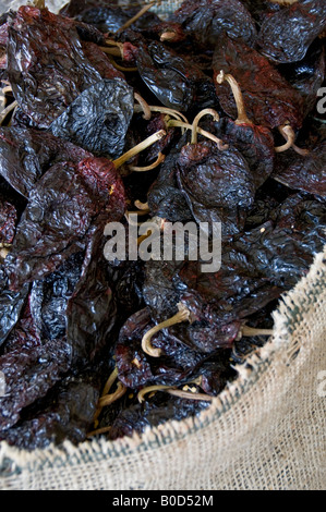 Sac de piments Ancho séchés, en vente en magasin de chili à Puebla, Mexique Banque D'Images